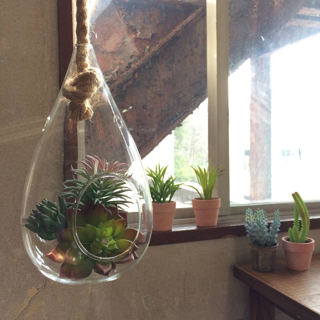 hanging glass vase for plants Rope Hanging Glass Drop Vase