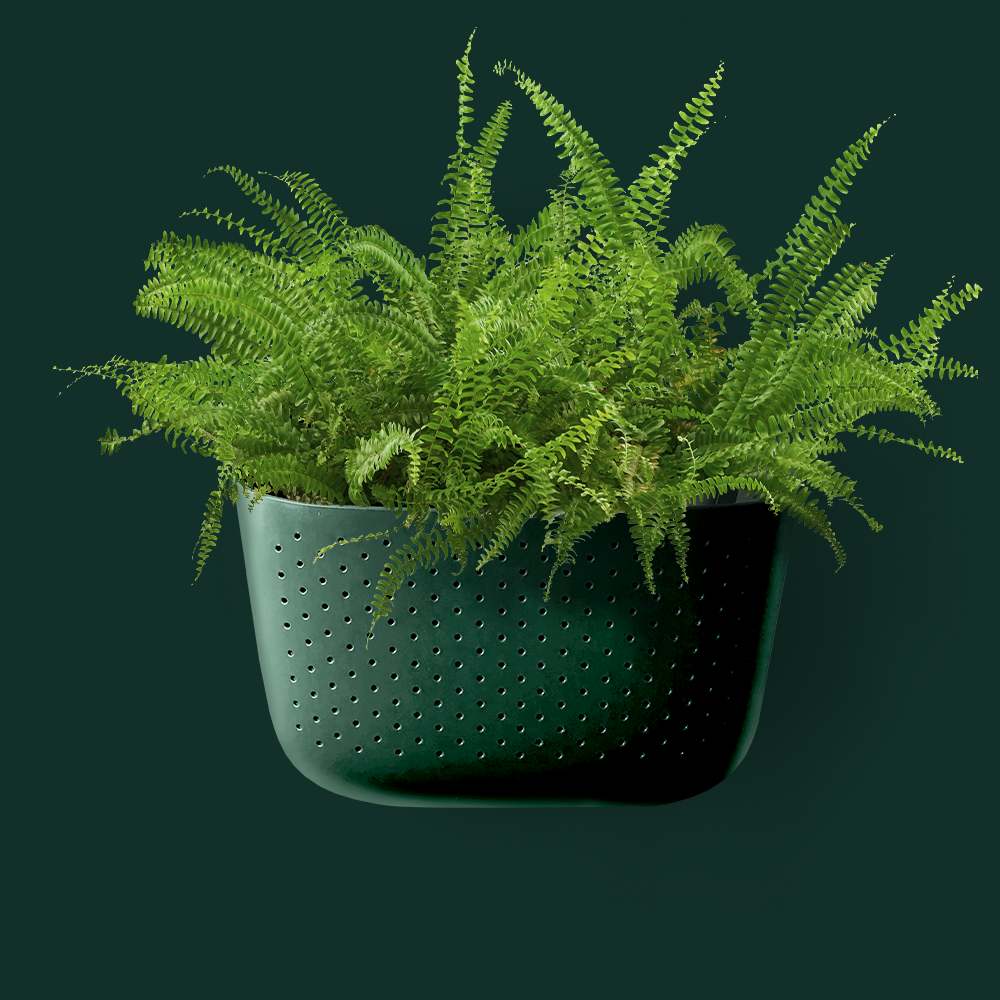 Eco Wall Planter - Forest