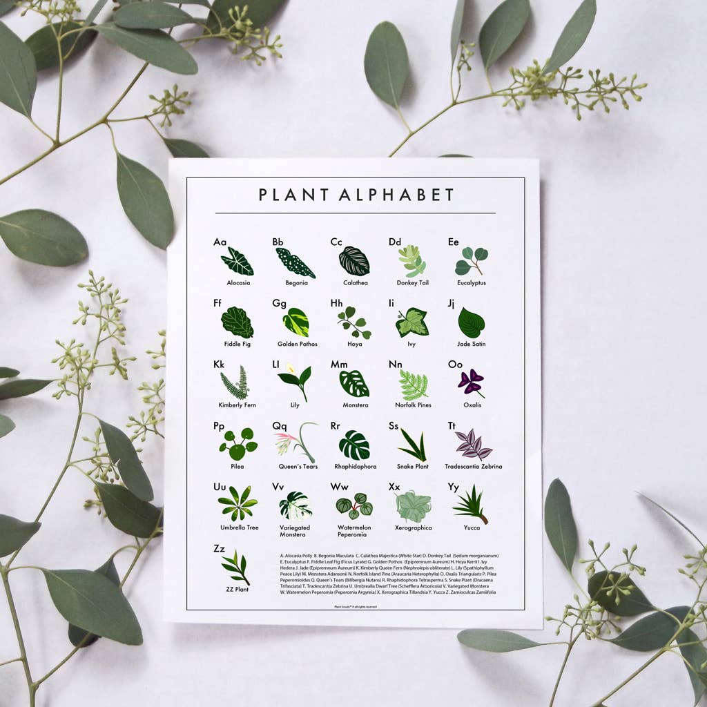 Plant Scouts - The Plant Alphabet Poster