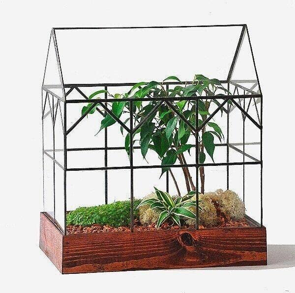 indoor plant glass house Large Handcrafted Glass Terrarium Hall House
